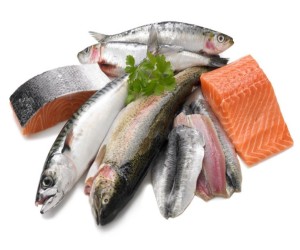 Fish